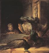 Still life with two dead Peacocks and a Girl (mk33)